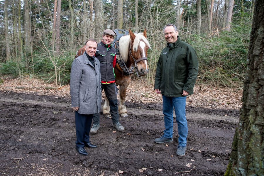 Bezirksvorsteher Gerald Bischof, Holzrücker Hannes, Pferd Nero und Forstdirektor Andreas Januskovecz