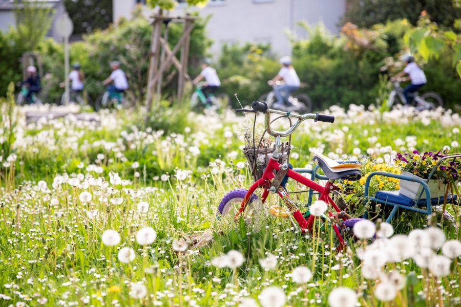 Kleines Kinderrad in einer Wiese voller Löwenzahl, im Hintergrund unscharf drei radfahrende Kids
