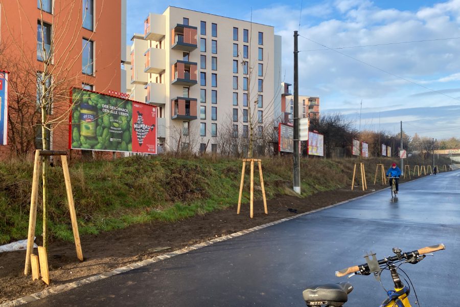 Häuser im Hingergrund, neu gepflanzte Bäume davor, ein Radfahrer und ein Stückchen von einem Rad auf dem neuen Radweg neben den Bäumen