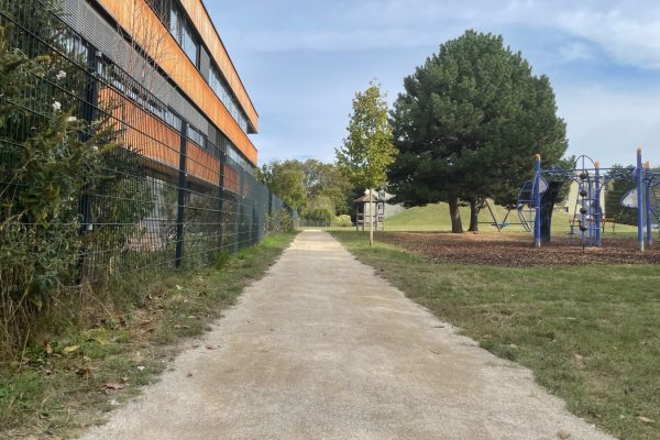 der Weg zentral in der Bildmitte, links die Holz-Glasfasade der Schule, rechts Wiese und ein Baum