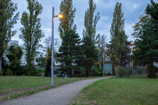 Weg in der Dämmerung im Vordergrund Wiese, im Hintergrund Baume, davor die neue Beleuchtung